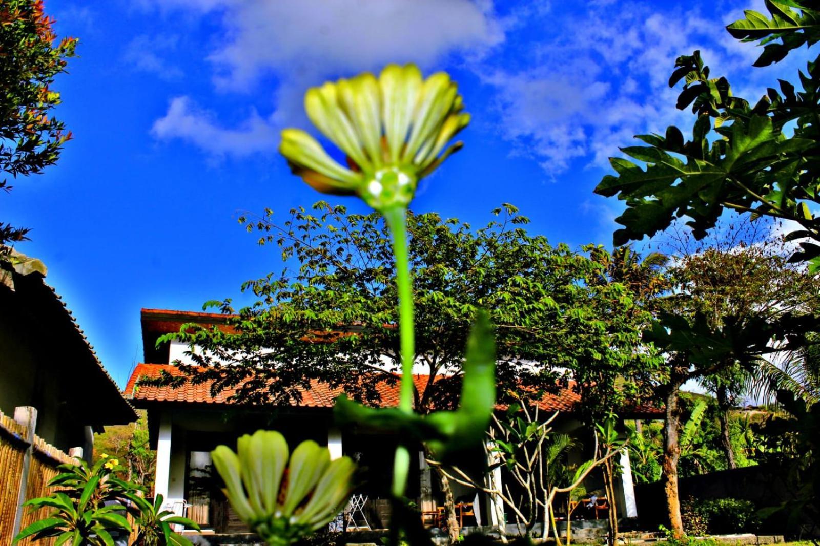 Barrel Homestay Areguling Kuta  Exterior photo